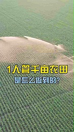 1人管千亩农田是怎么做到的