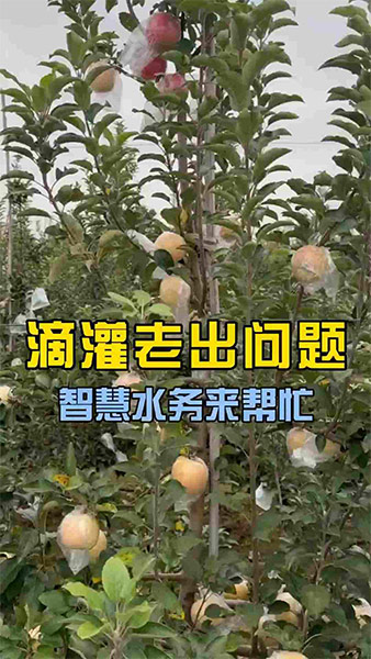 滴灌老出问题，智慧水务来帮忙